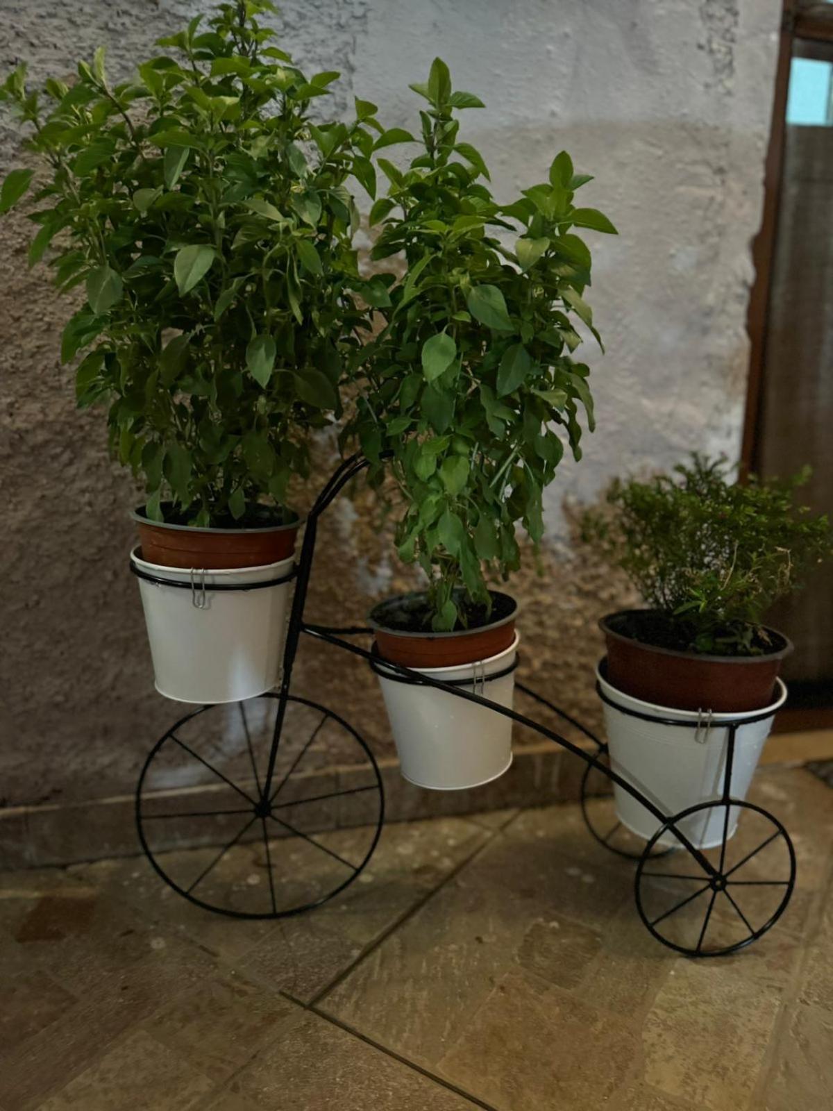 Afroditi'S 2 Eresos  Buitenkant foto