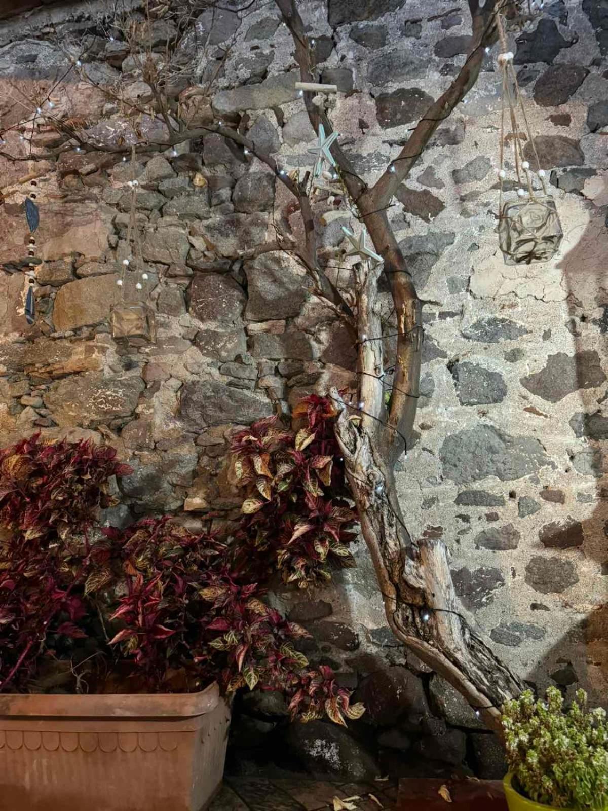 Afroditi'S 2 Eresos  Buitenkant foto